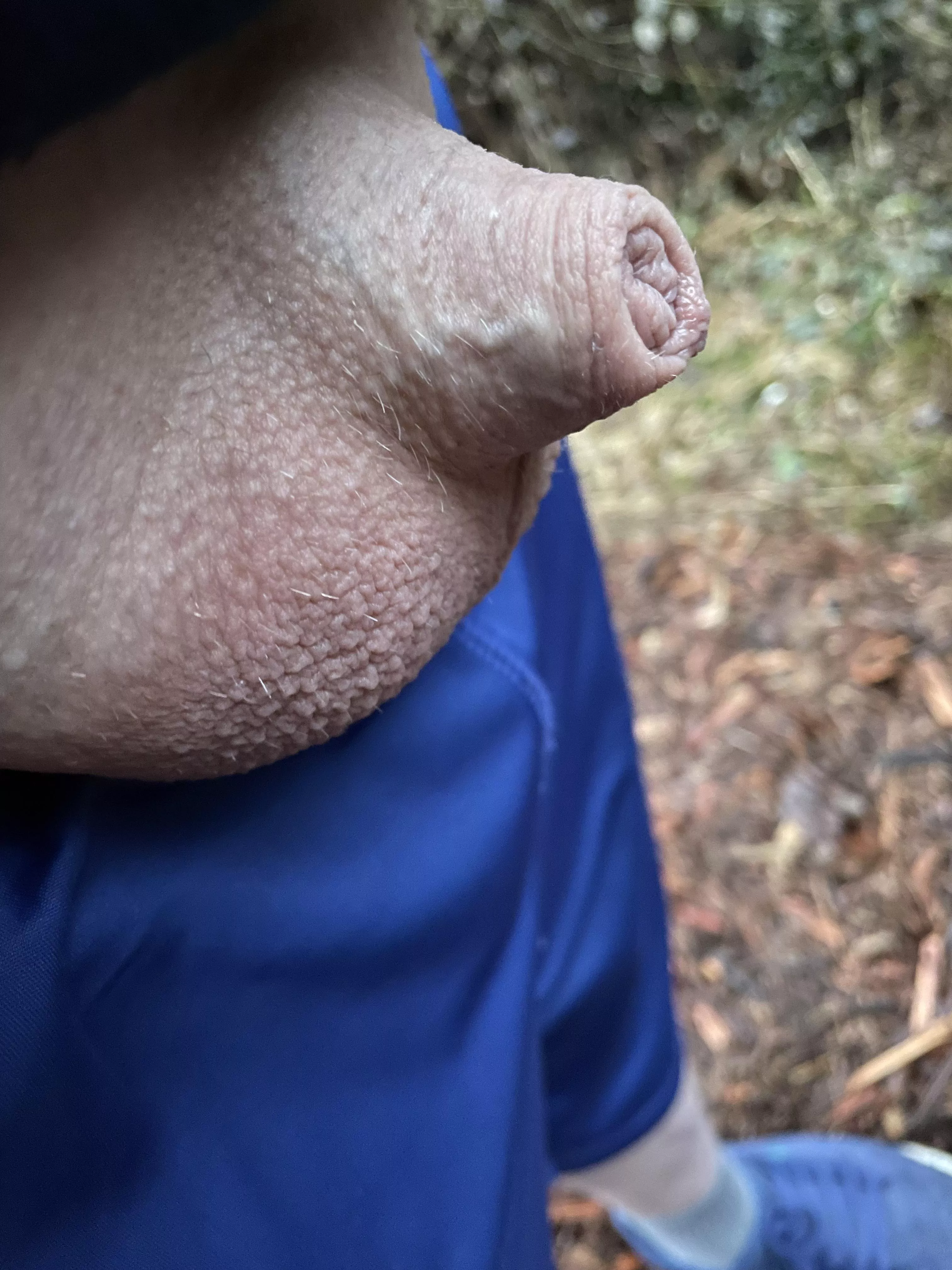 Nature love (40)