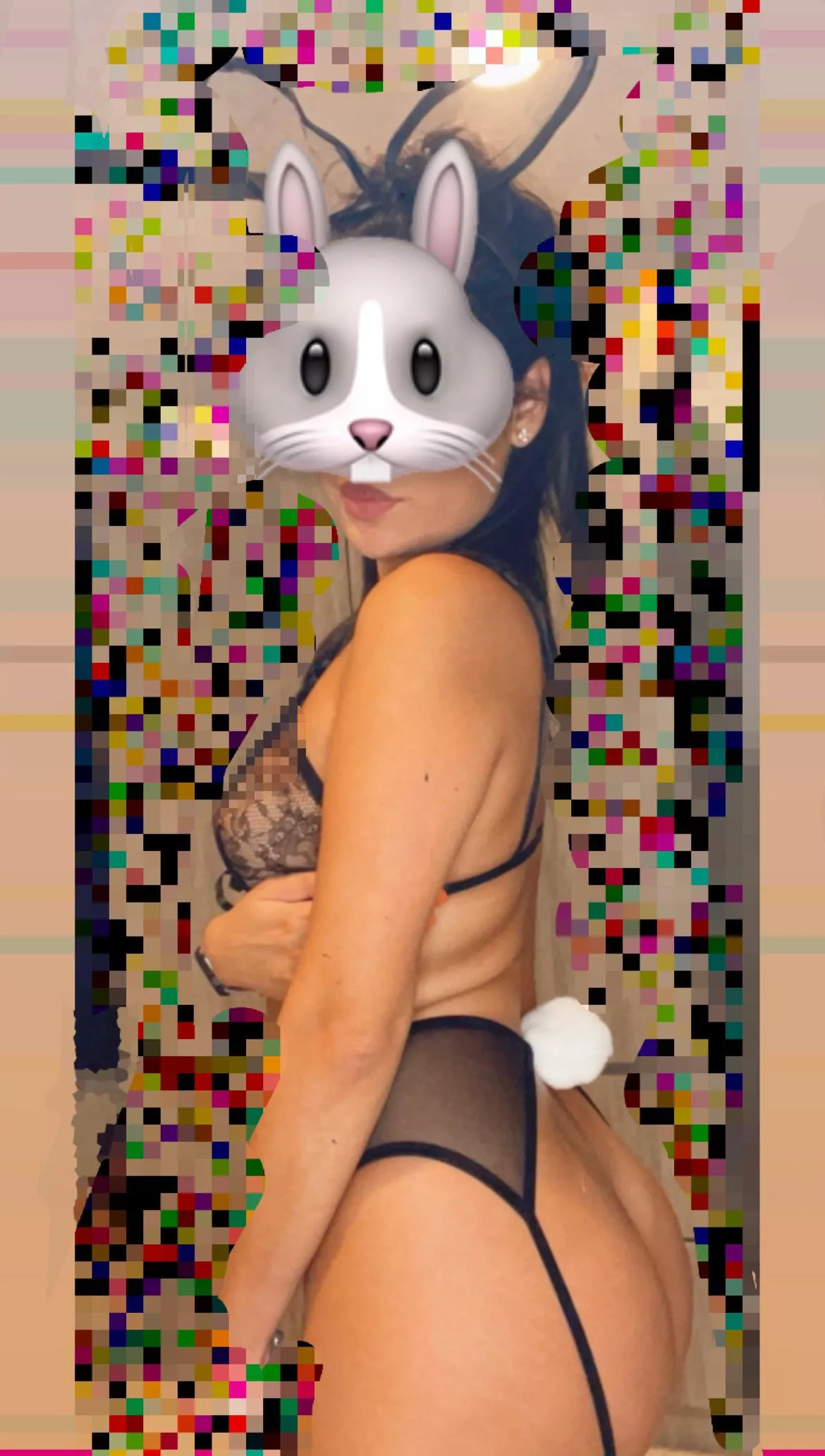 Naughty bunny