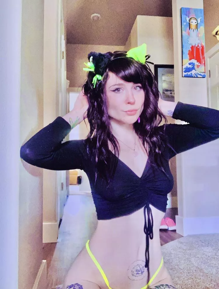 Neko 🌟