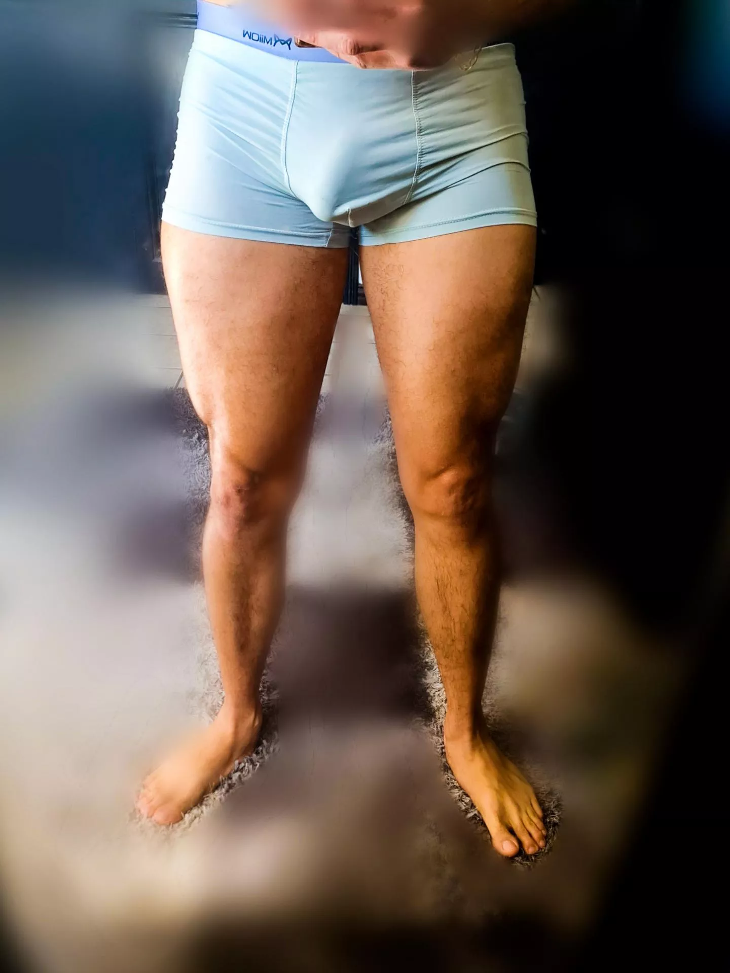 new boxer