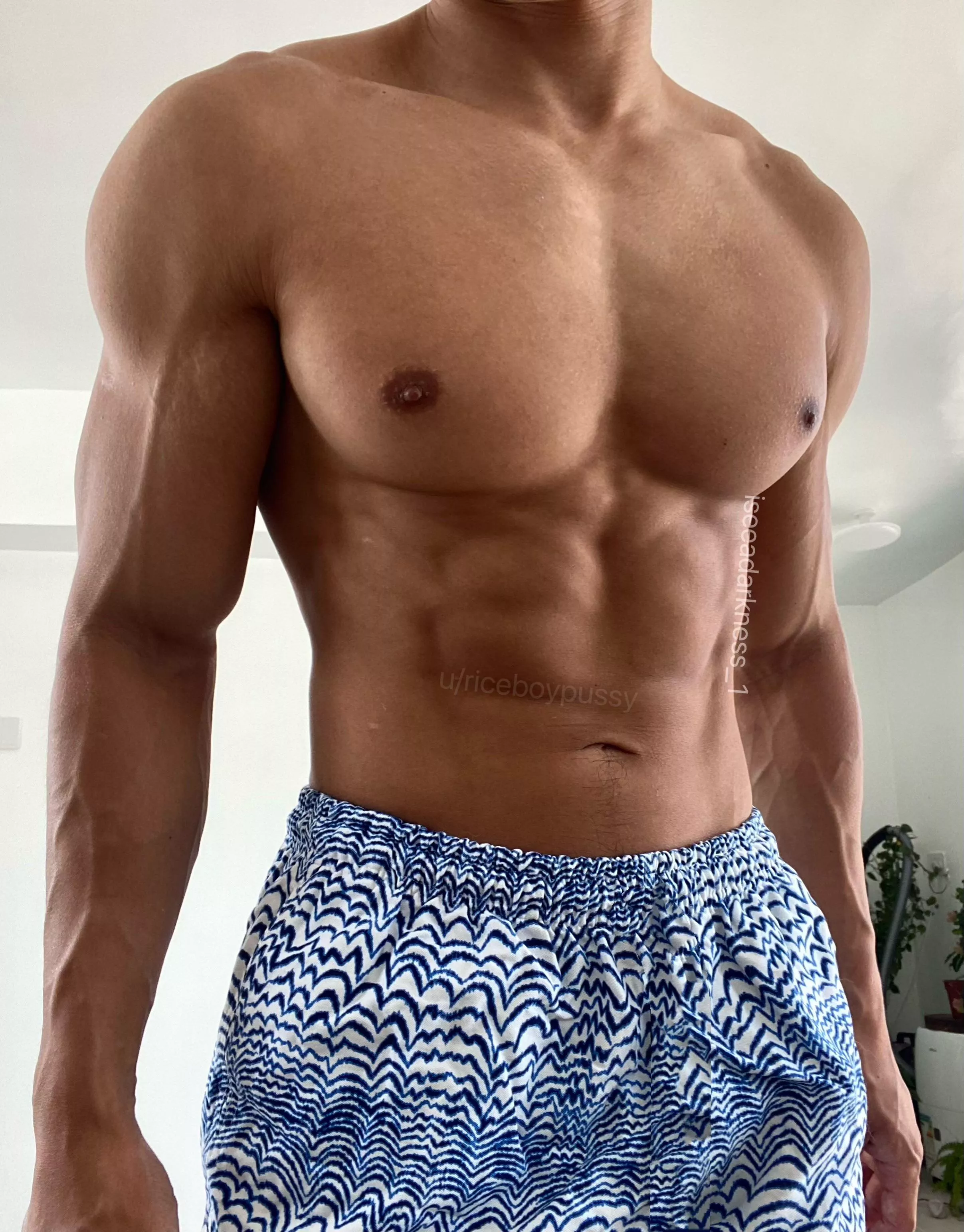 New boxers