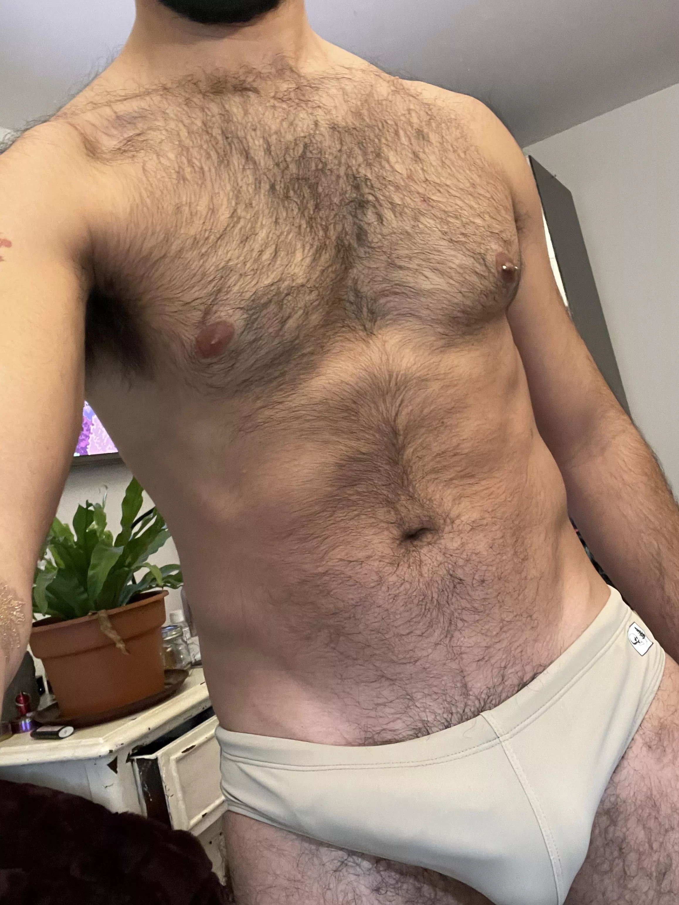 New swim briefs