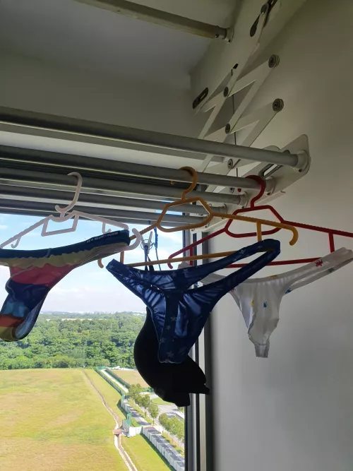 Nice weather to do some laundry 😌