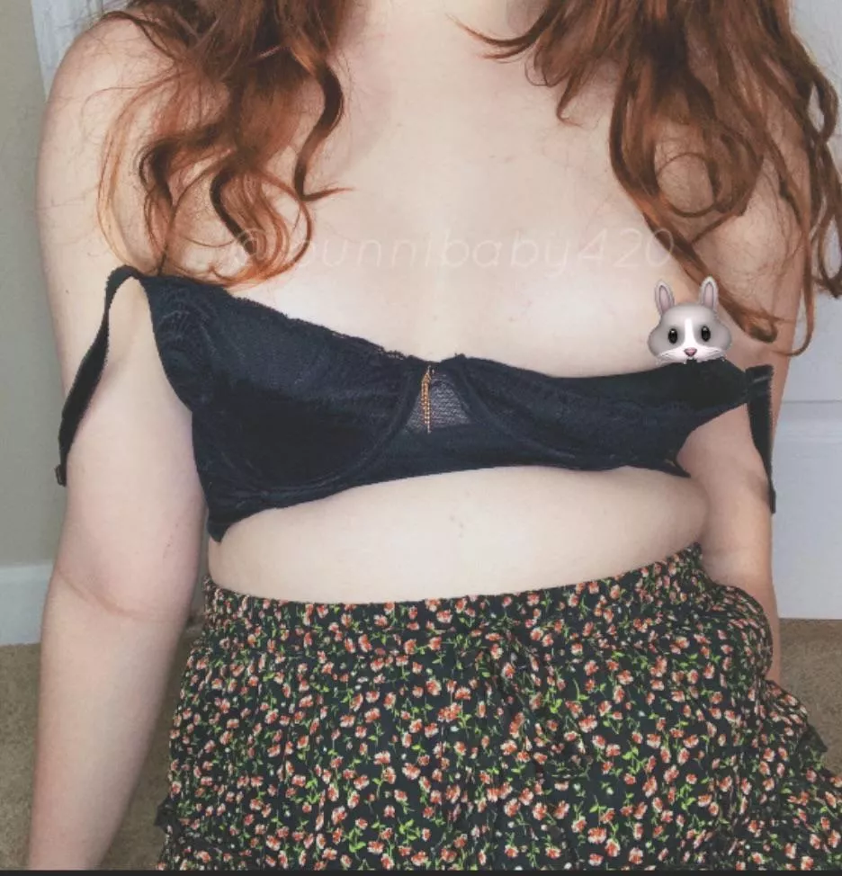nip slip 🐰