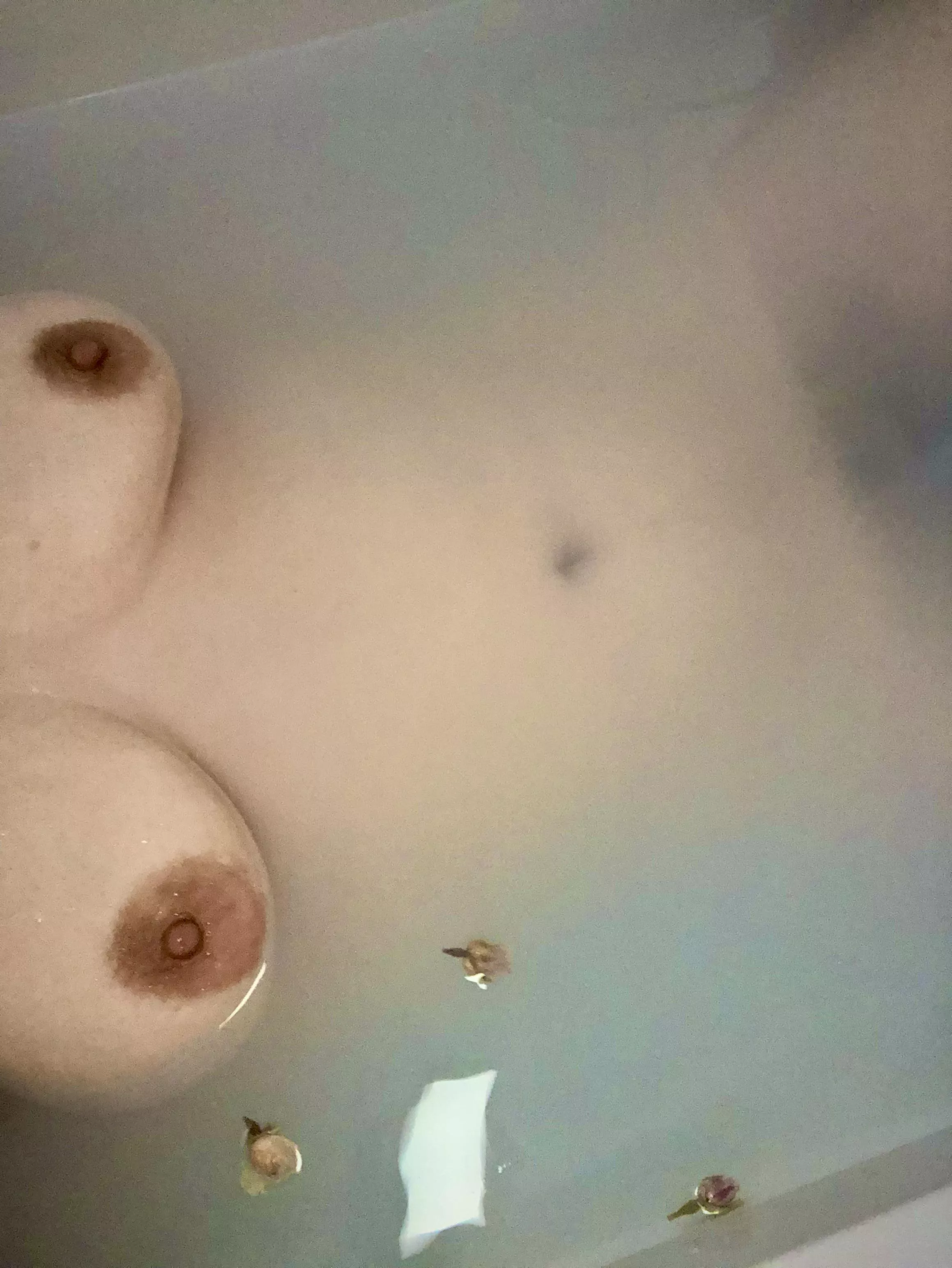 no slut should be forced to cover up in a public pool. it is a violation of our rights to have to cover our only worth. this fuckpet wishes it could be like this in the public pools so it can serve its superiors at all times. no slut should be forced to cover up in a public pool. it is a violation of our rights to have to cover our only worth. this fuckpet wishes it could be like this in the public pools so it can serve its superiors at all times.