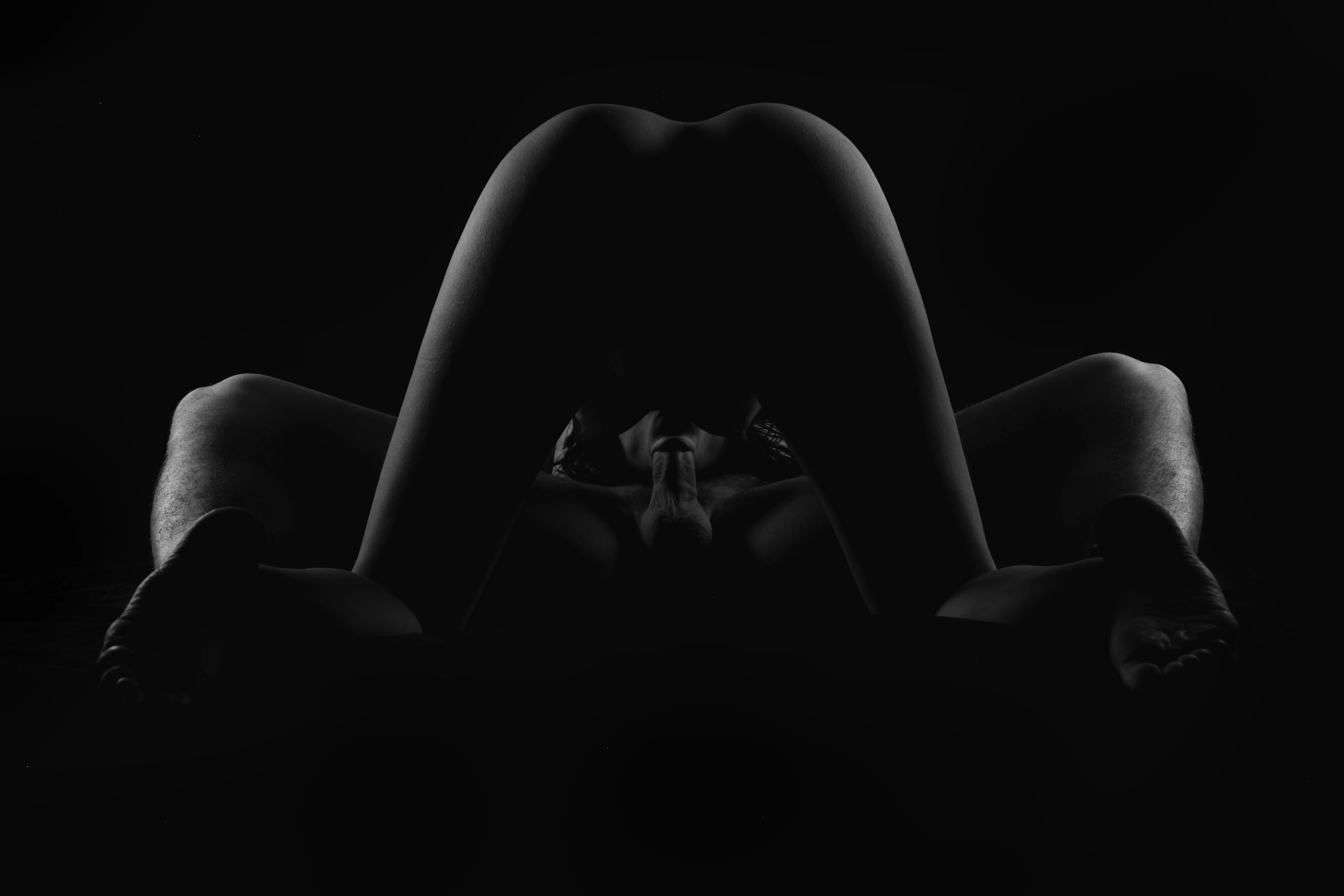 Nocturnal creatures