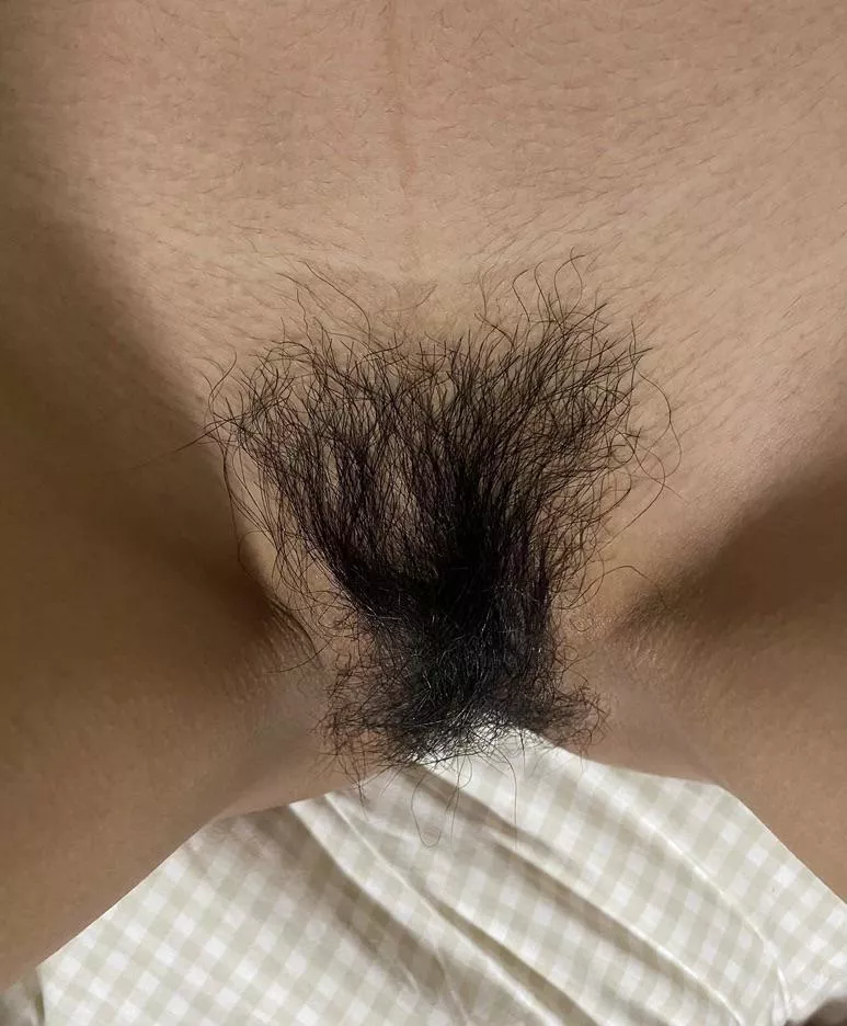 Normal bush
