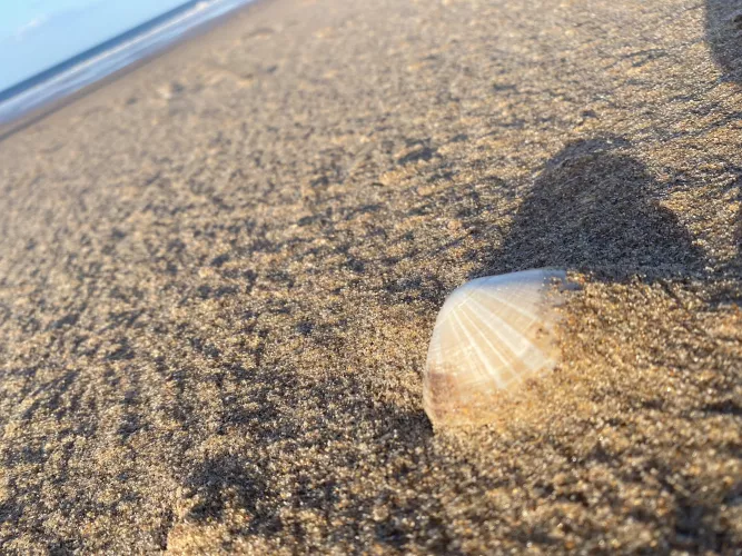 Northumberland UK 🇬🇧