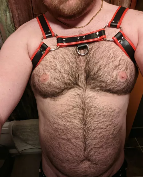 🐻 Now what to wear on the bottom... 🤔