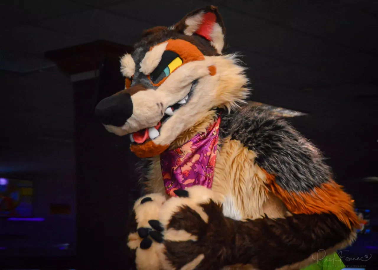 on the prowl 🐺
