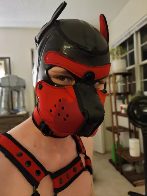 Oops! I might have gotten a little too close while he was peeing😇