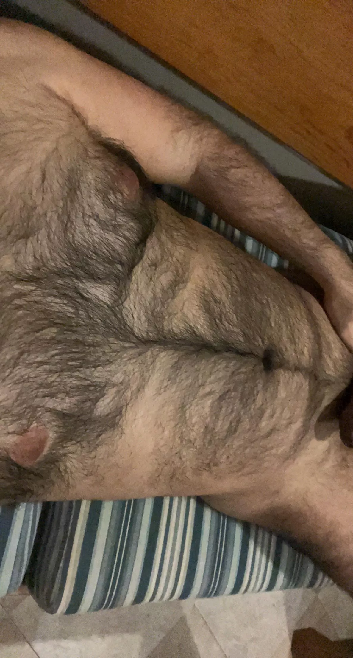 Otter