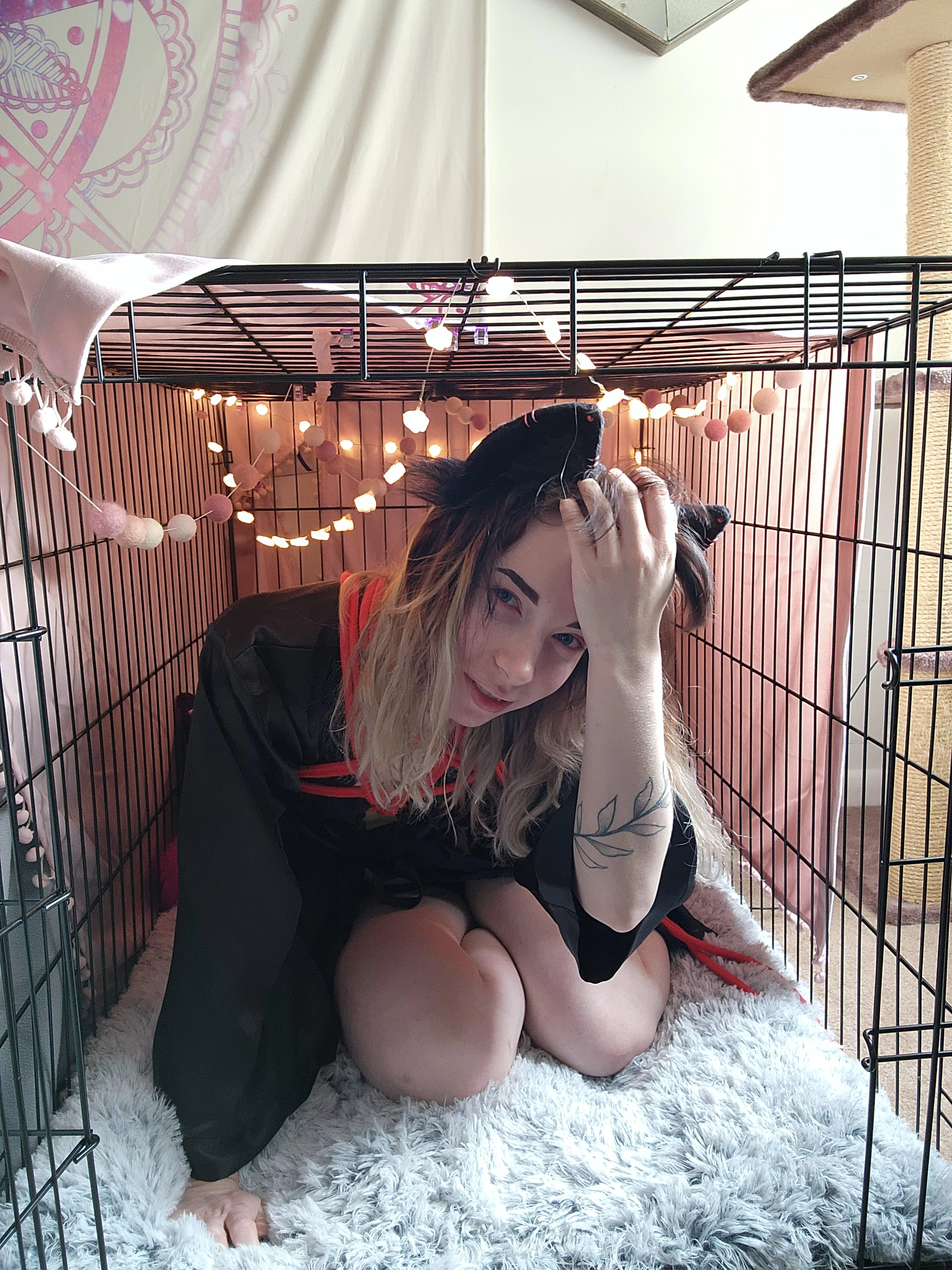 pale puppy waiting for a master
