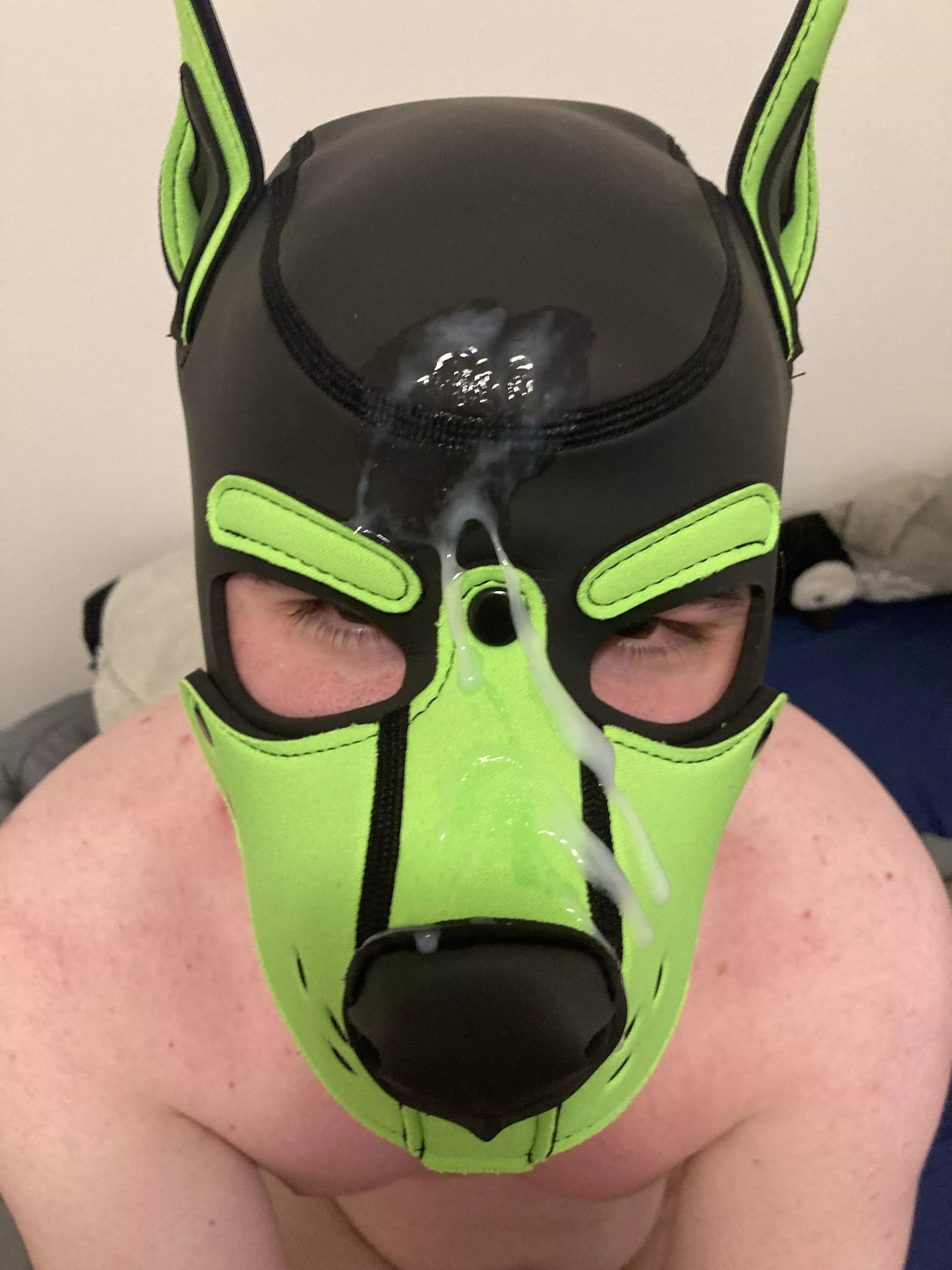 Partner came over today! I got to be a good boy 🐶