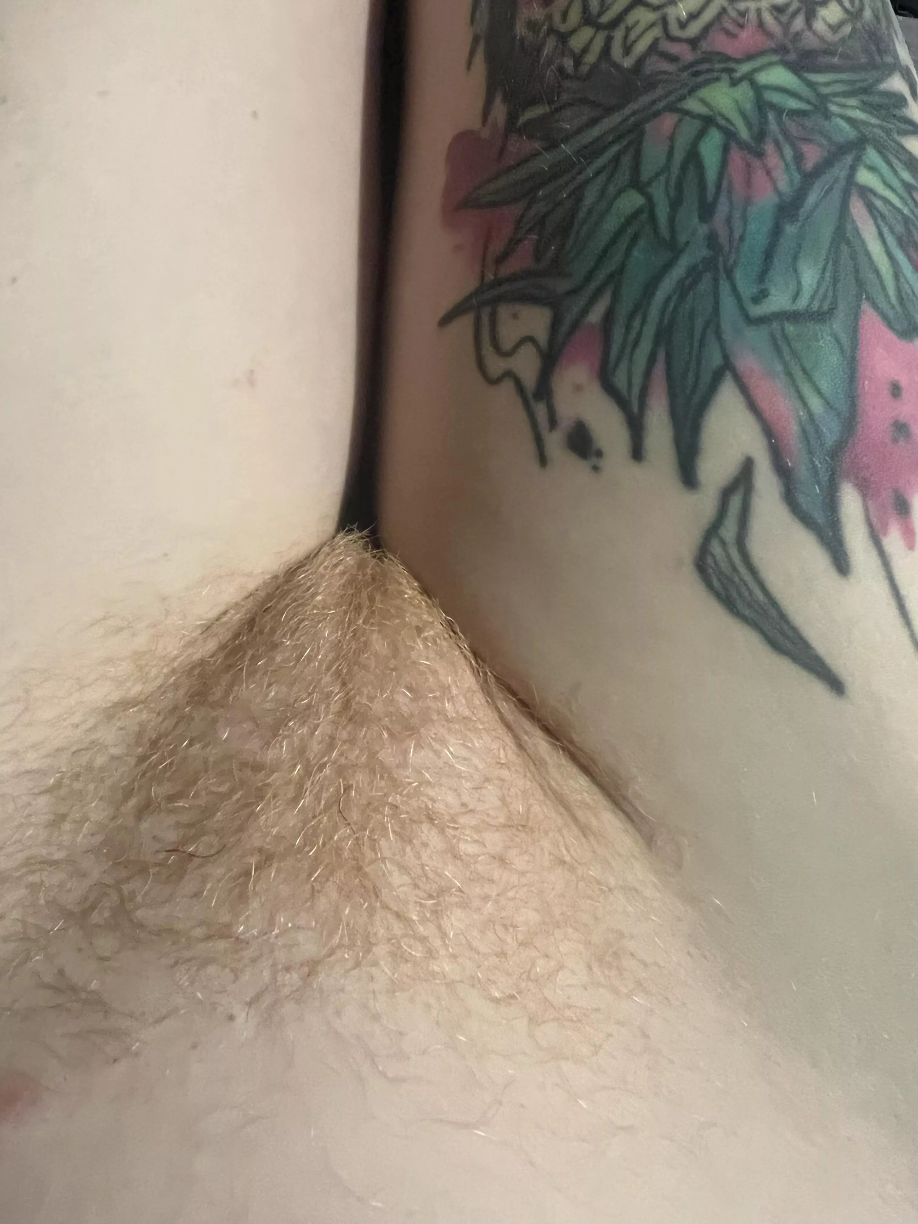 Peach fuzz