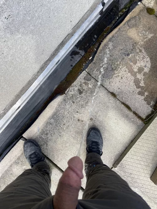 Peeing on a roof in Lowell, where else should I be going? A toilet?! Ya right!