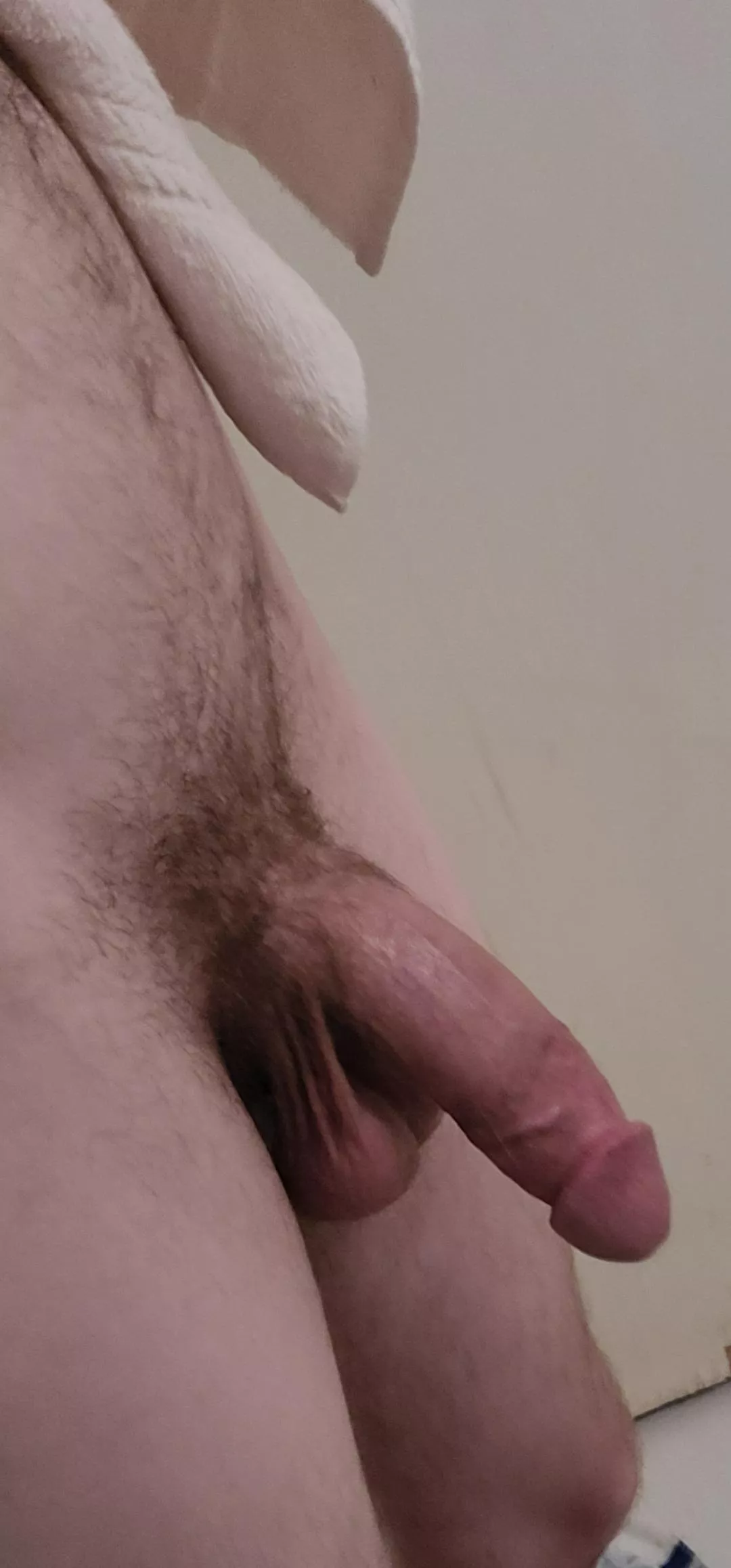 penis! now that I have your attention.. suck mine 😁