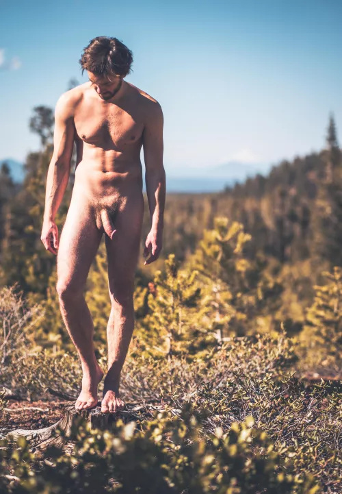 Perfect day for a hiking adventure, did you see me out there 👀