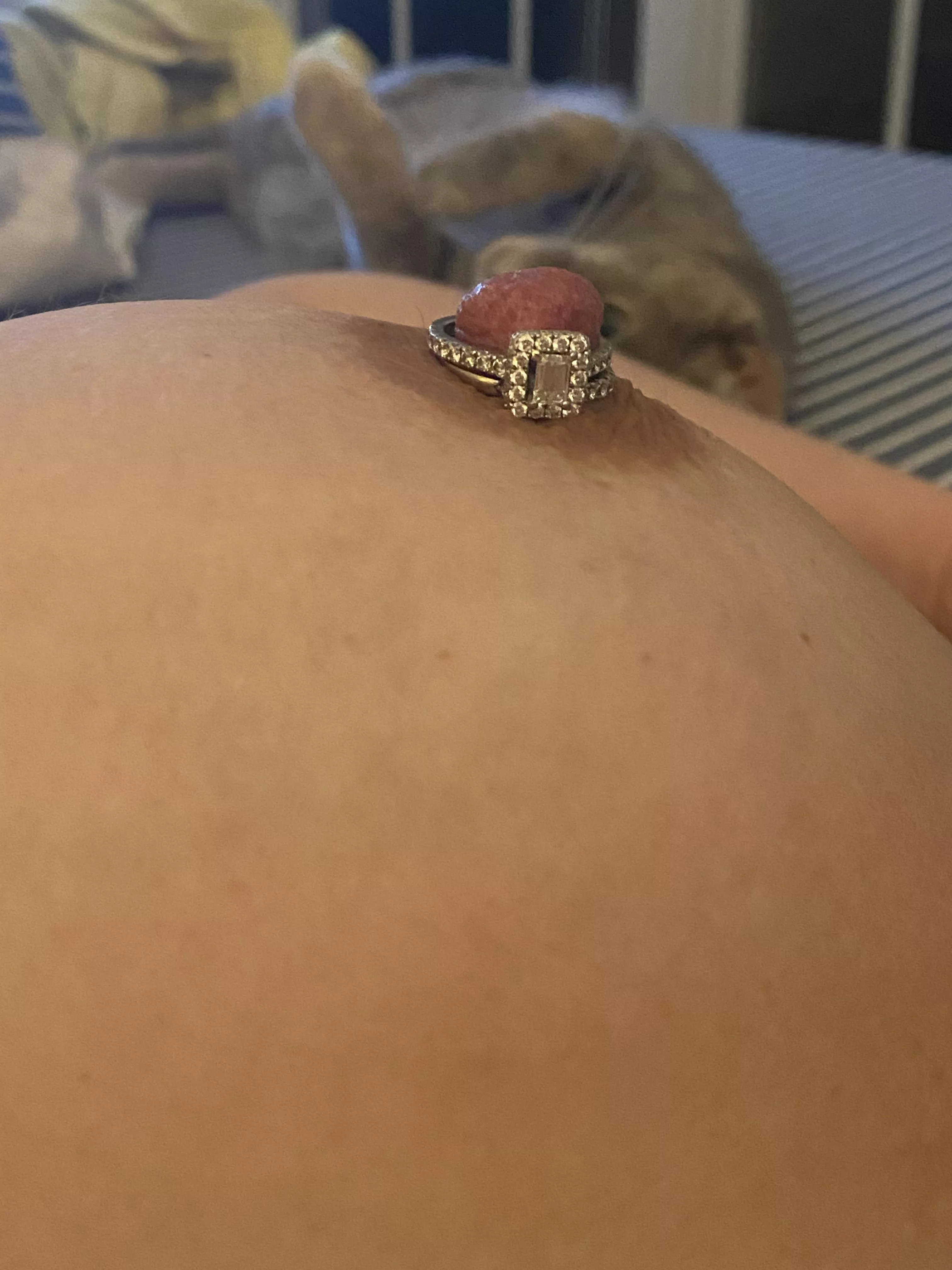Perfect fit