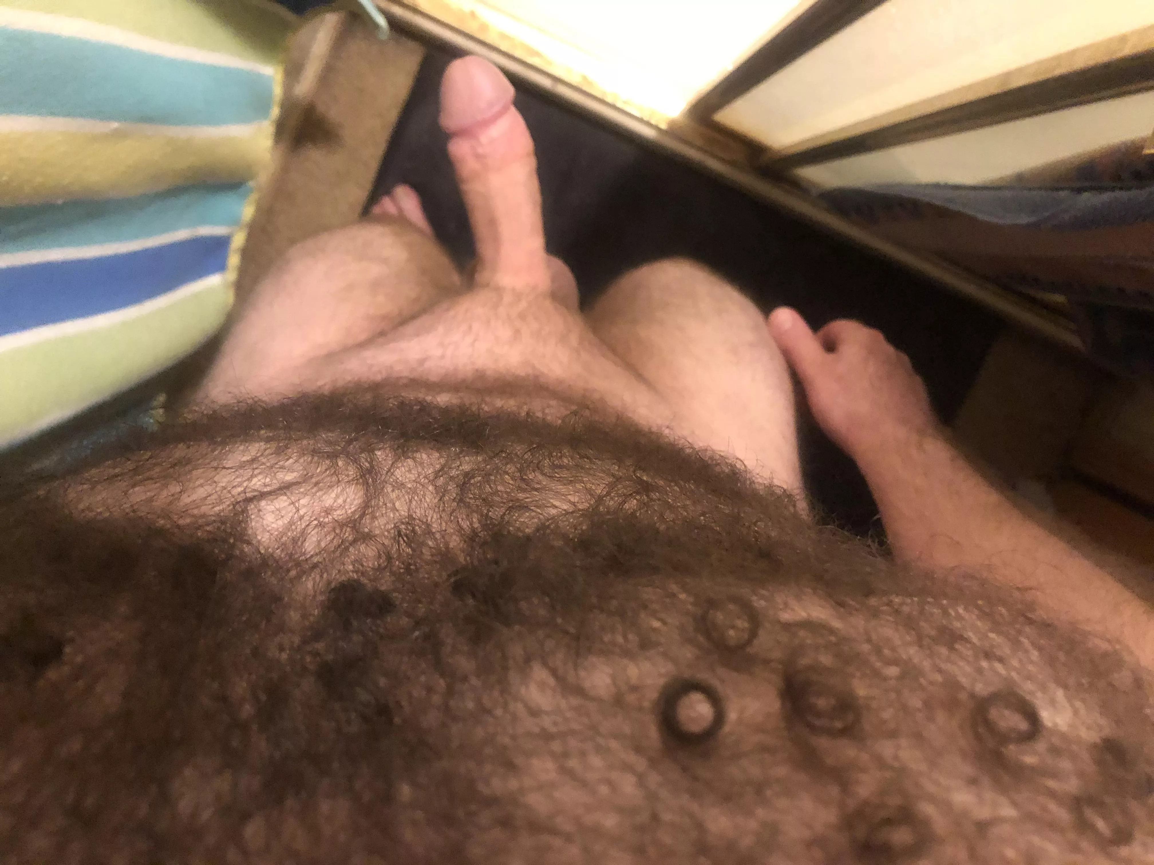Pet my furry forest