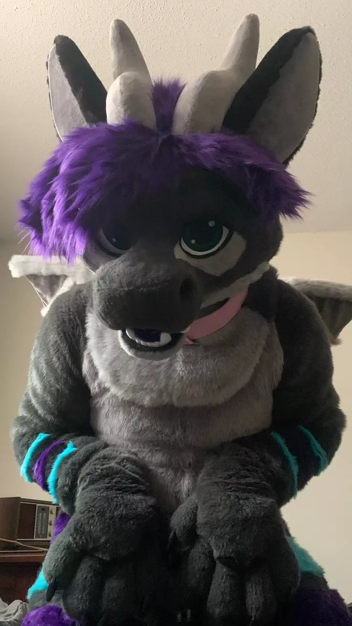△ Pets Please?