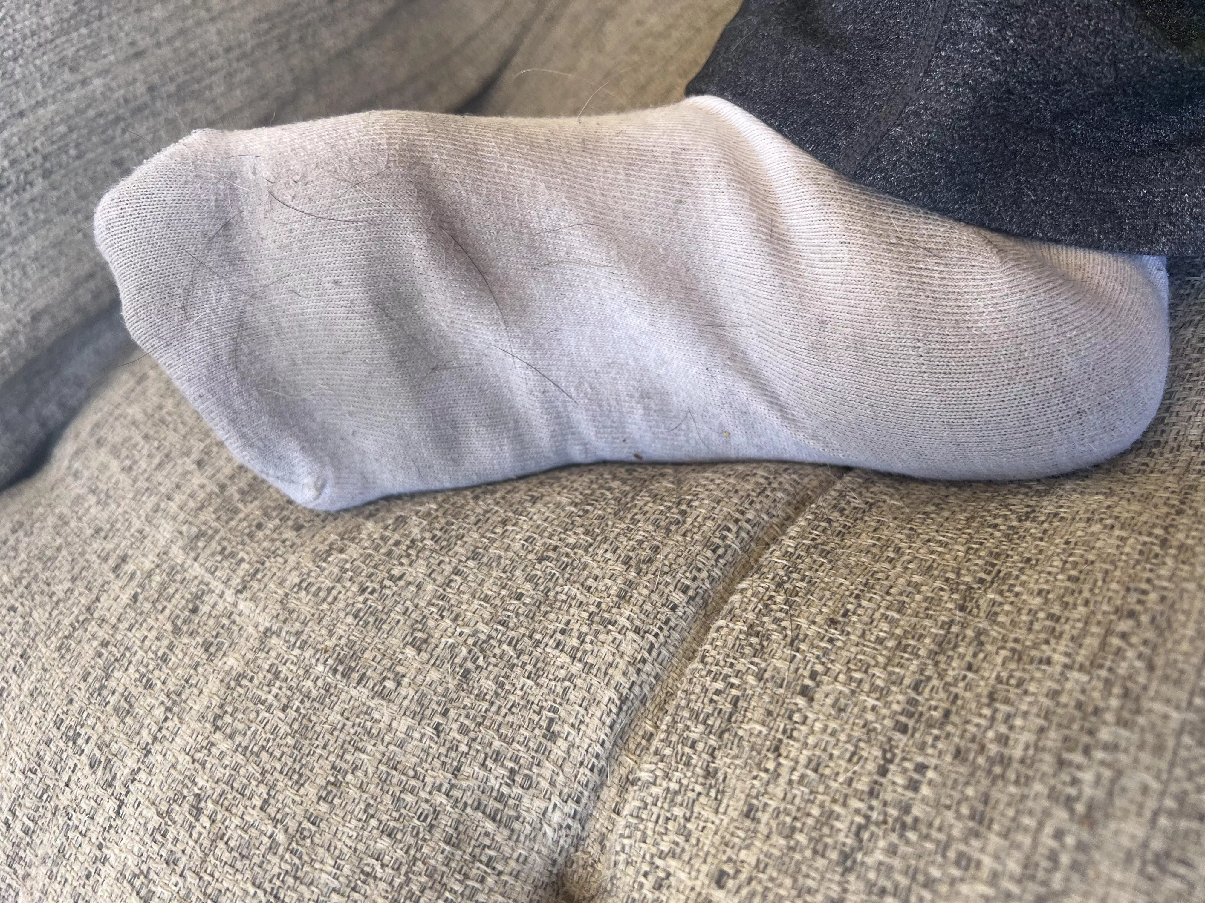 Phoenix heat destroying my white socks one pair at a time 🥴