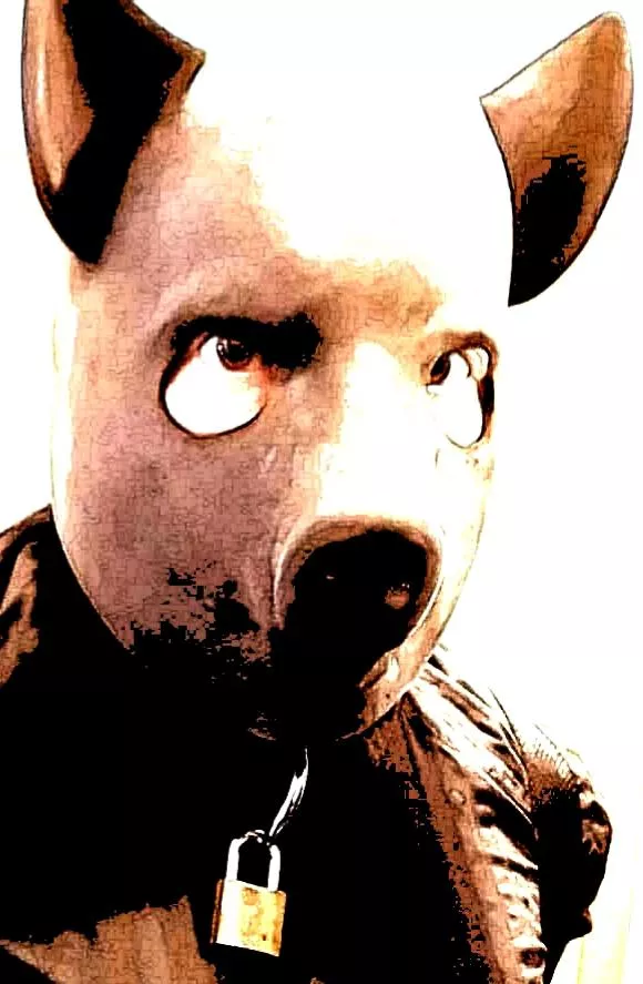 Pig