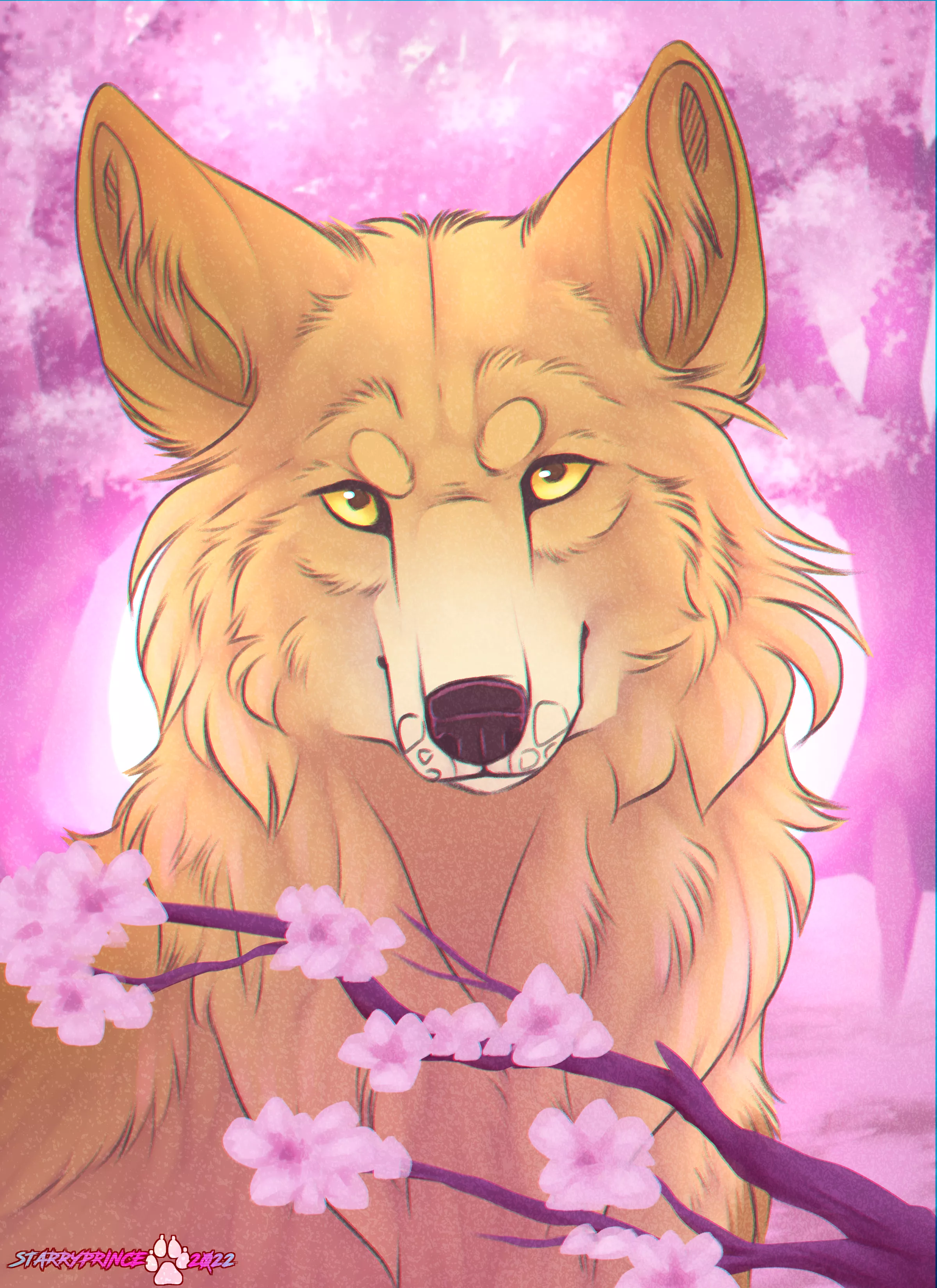 Pink Blossoms [OC]
