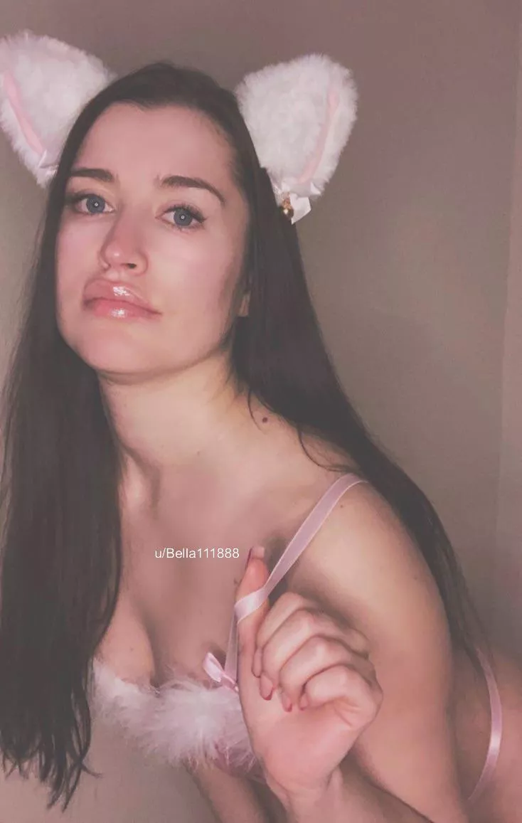 Pink kitty