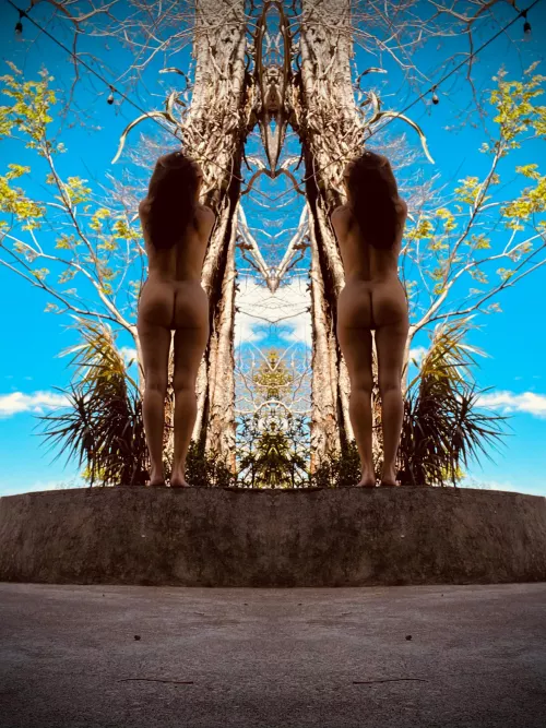 piper at the gates of dawn (f)