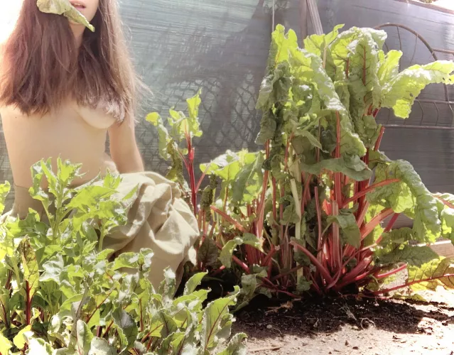 Plant one on me. 🥬💋(f)