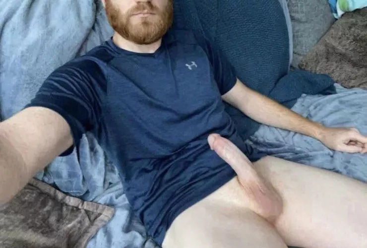 Play with my ginger beard?