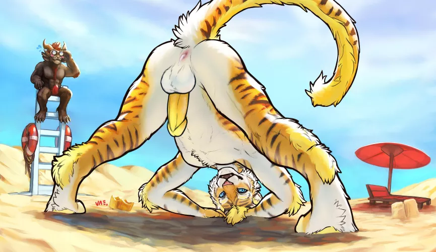 Playful on the Beach (vateo)