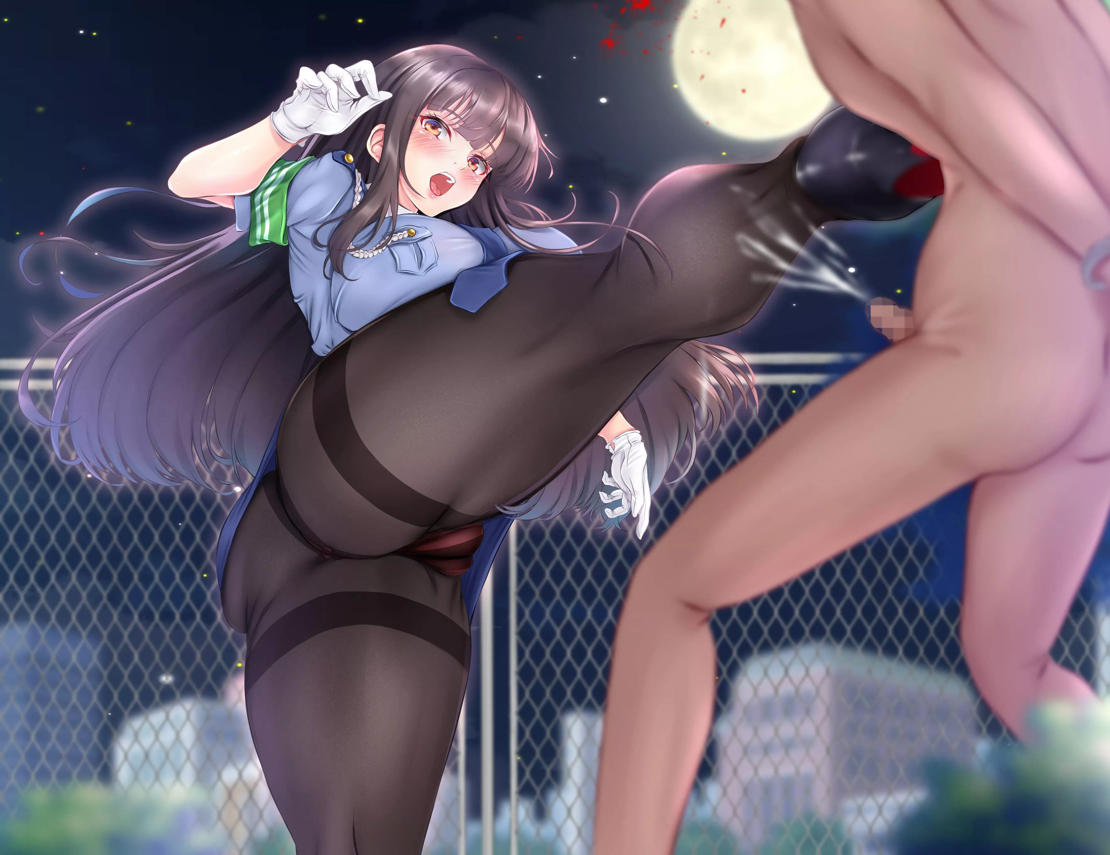 Police Enforcement