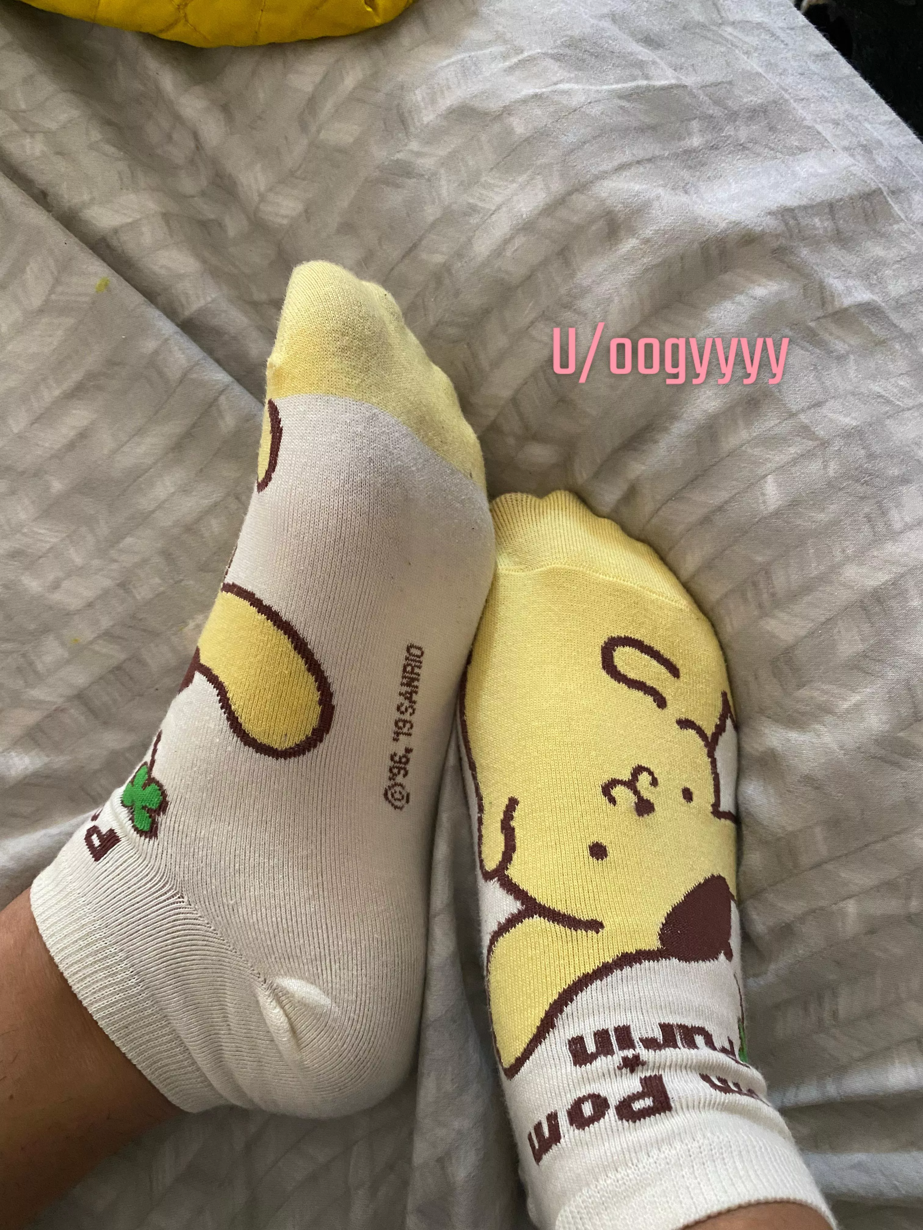 ✨🧦Pom Pom socks . ✨