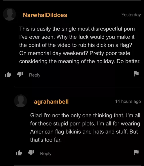 Poor taste on Memorial Day