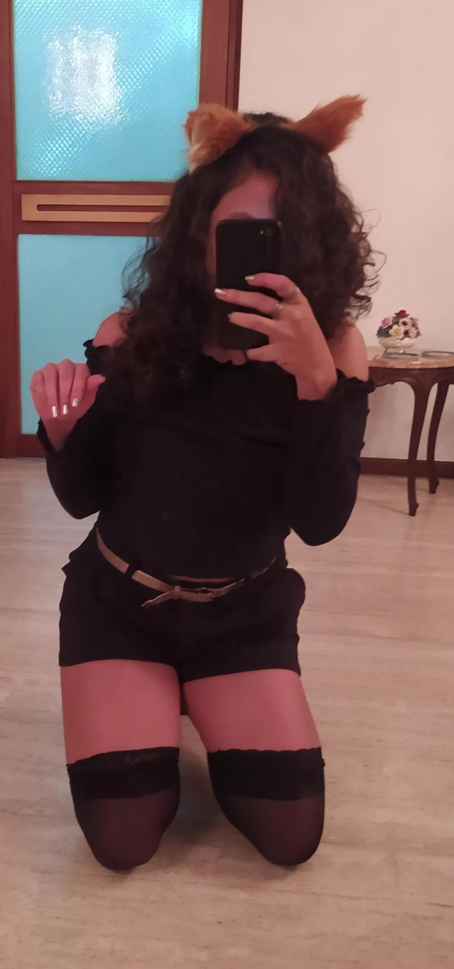 prrr prrr prrr 🐈