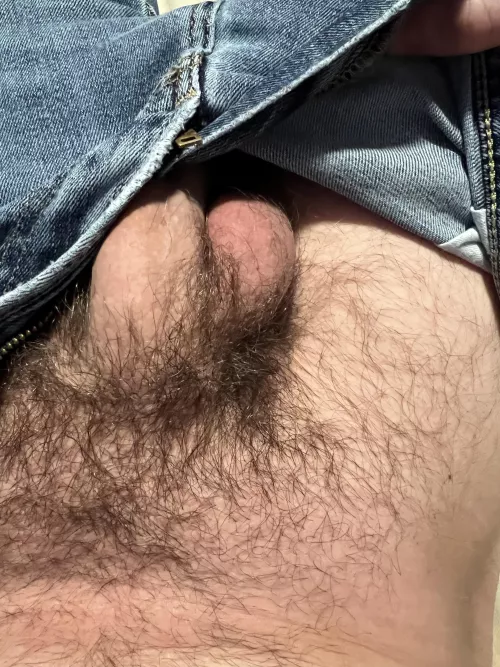 Pubes. That’s the title.