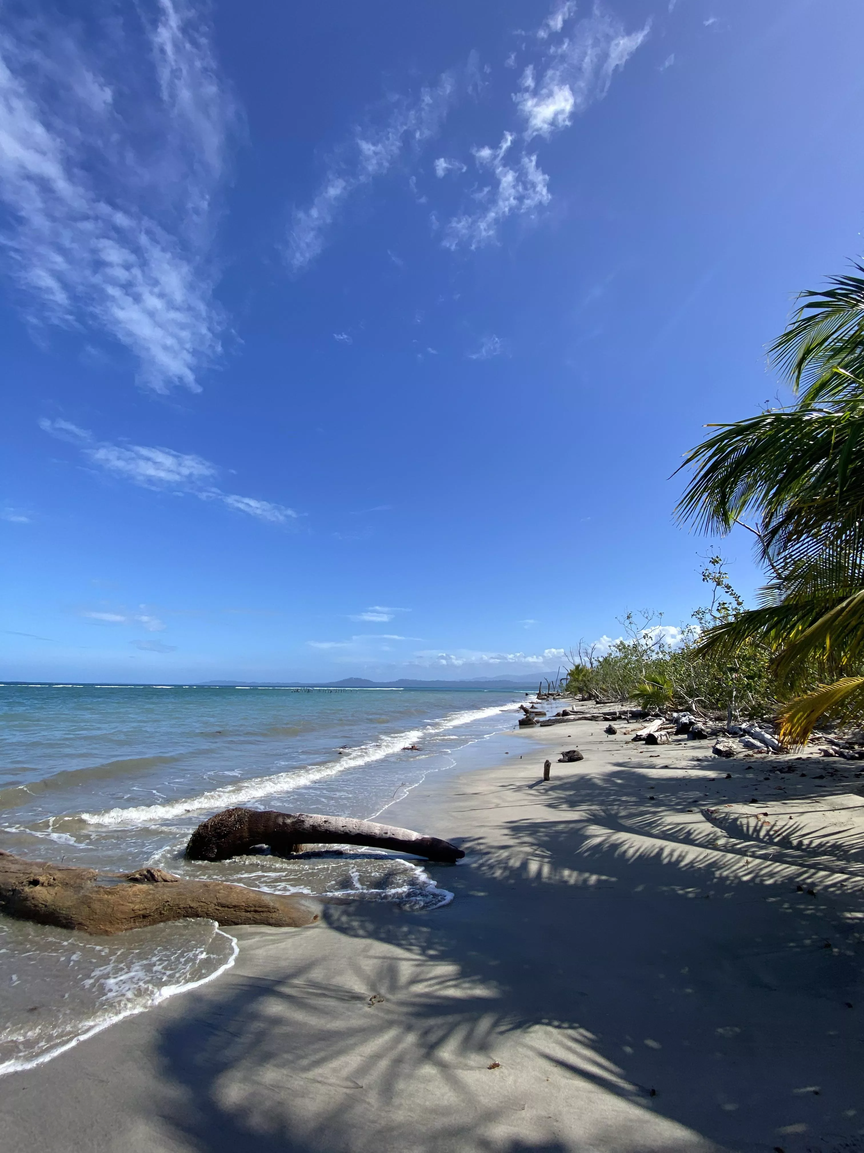 Puerto Vargas 🌴Cahuita Costa Rica 🇨🇷