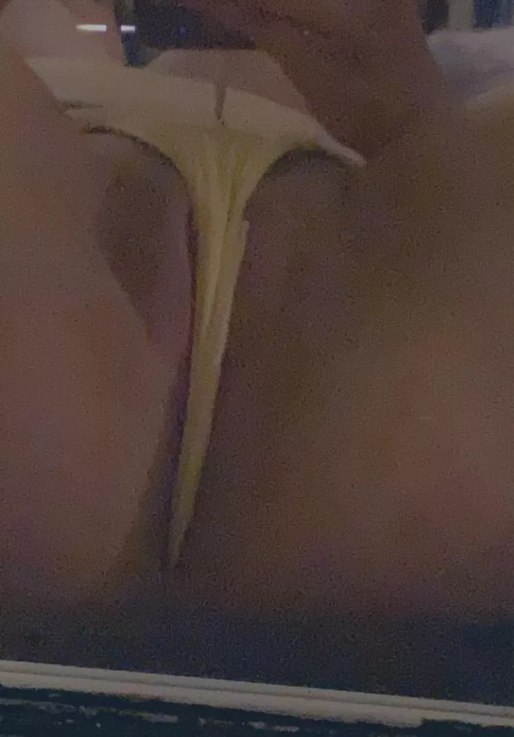 Pull it for me 😉
