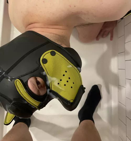 Pup finally serviced his first bone in his hood! I got some yummy treats!!