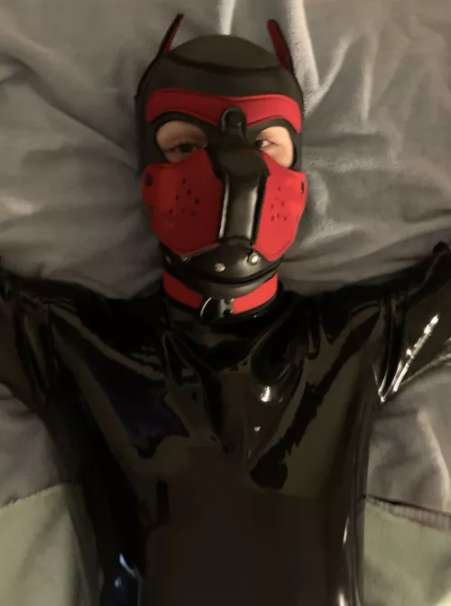 pup is happiest when wet💦