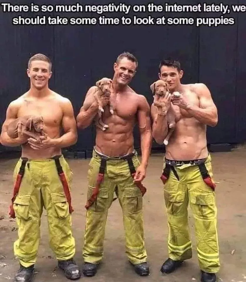 Puppies!