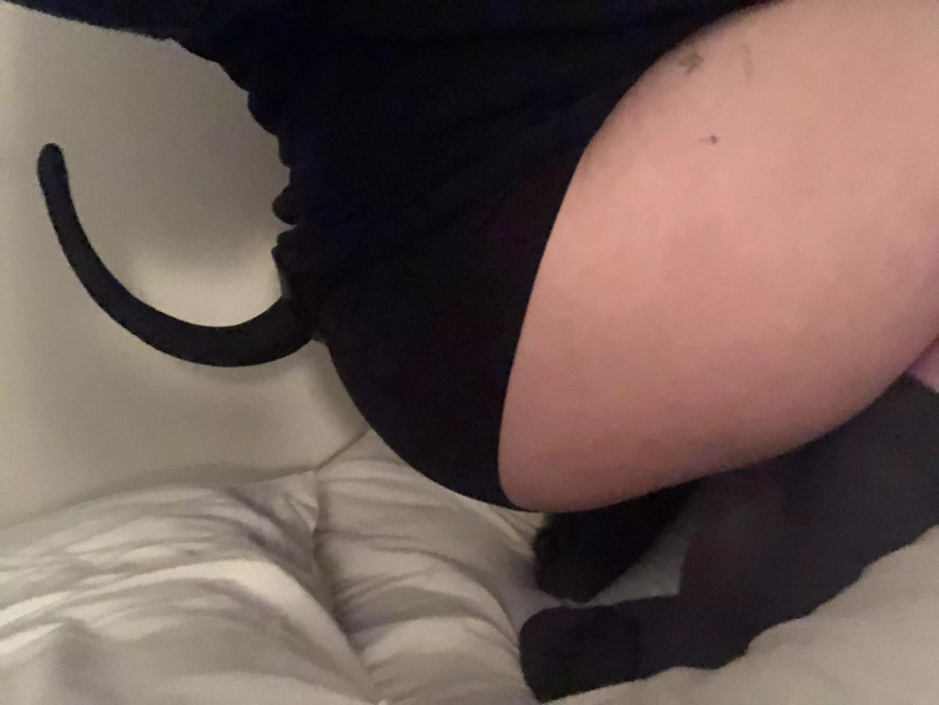 puppy butt 🐾