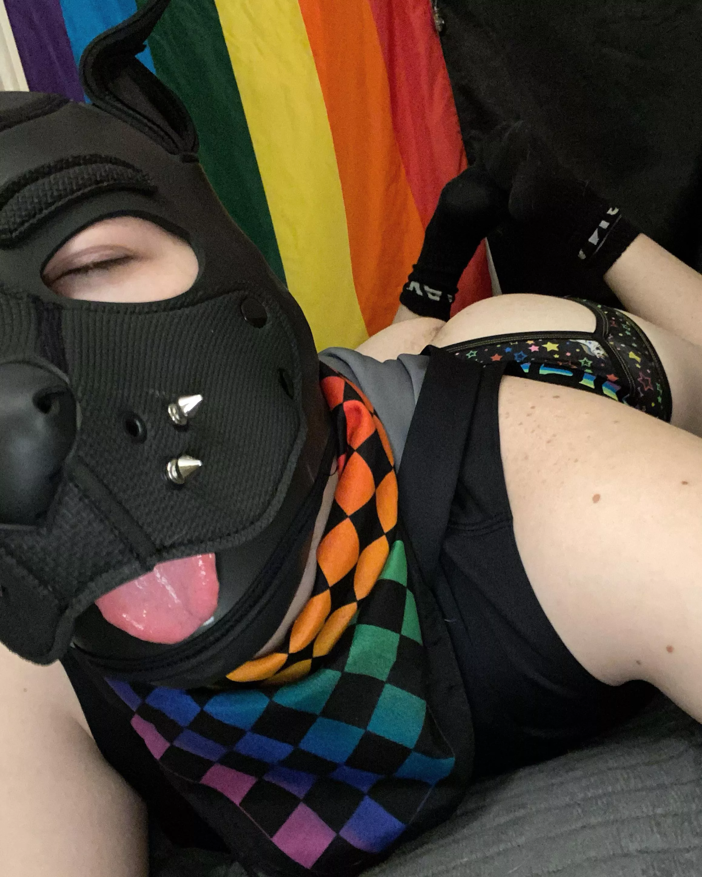 Puppy Butt!!