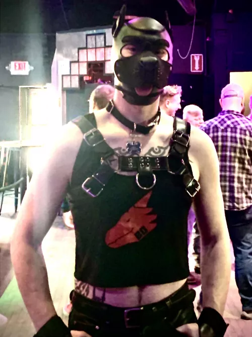 Puppy in Minneapolis