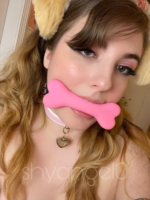 put me in doggy 🐾