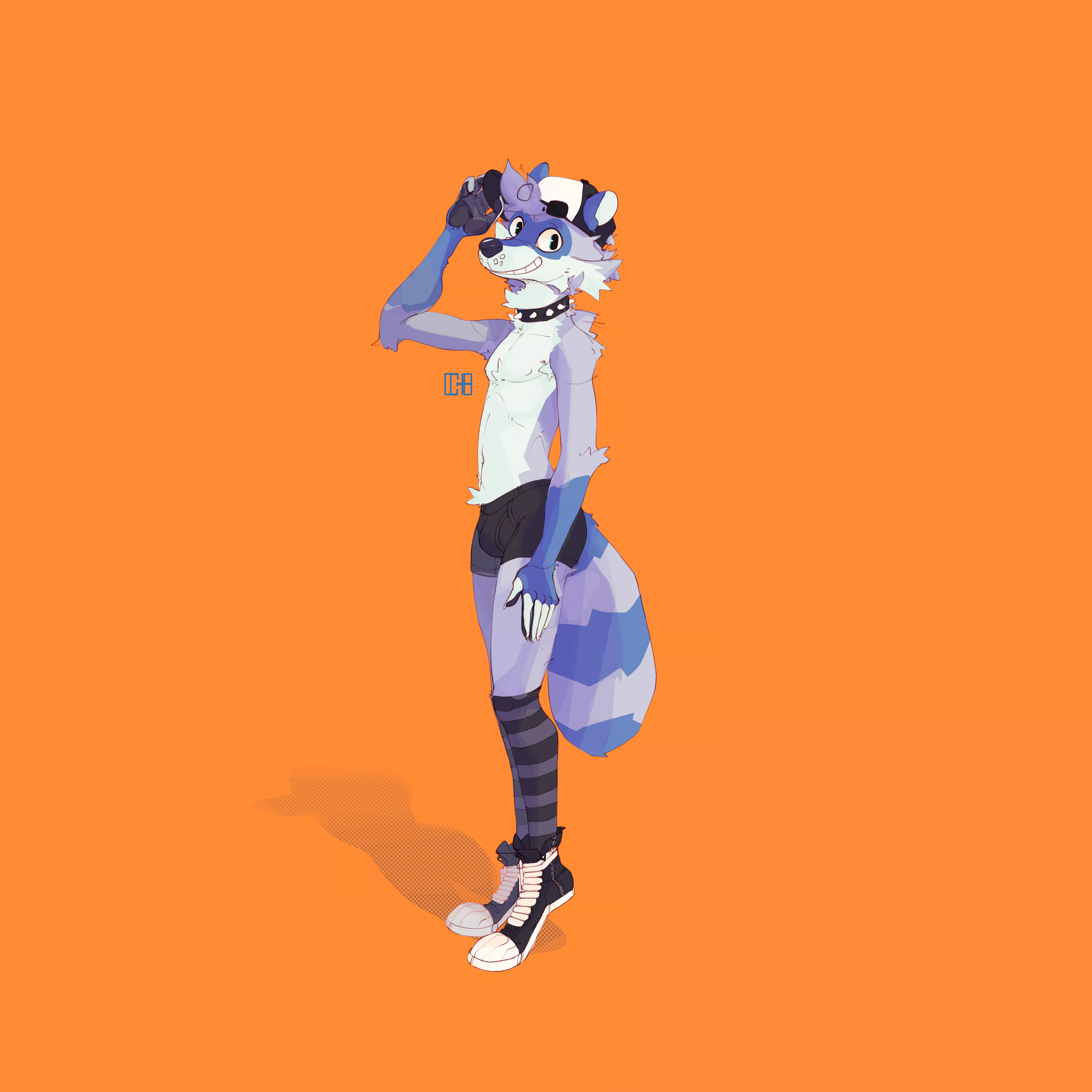 [Q] Raccoon in dark clothes (I´m the artist)