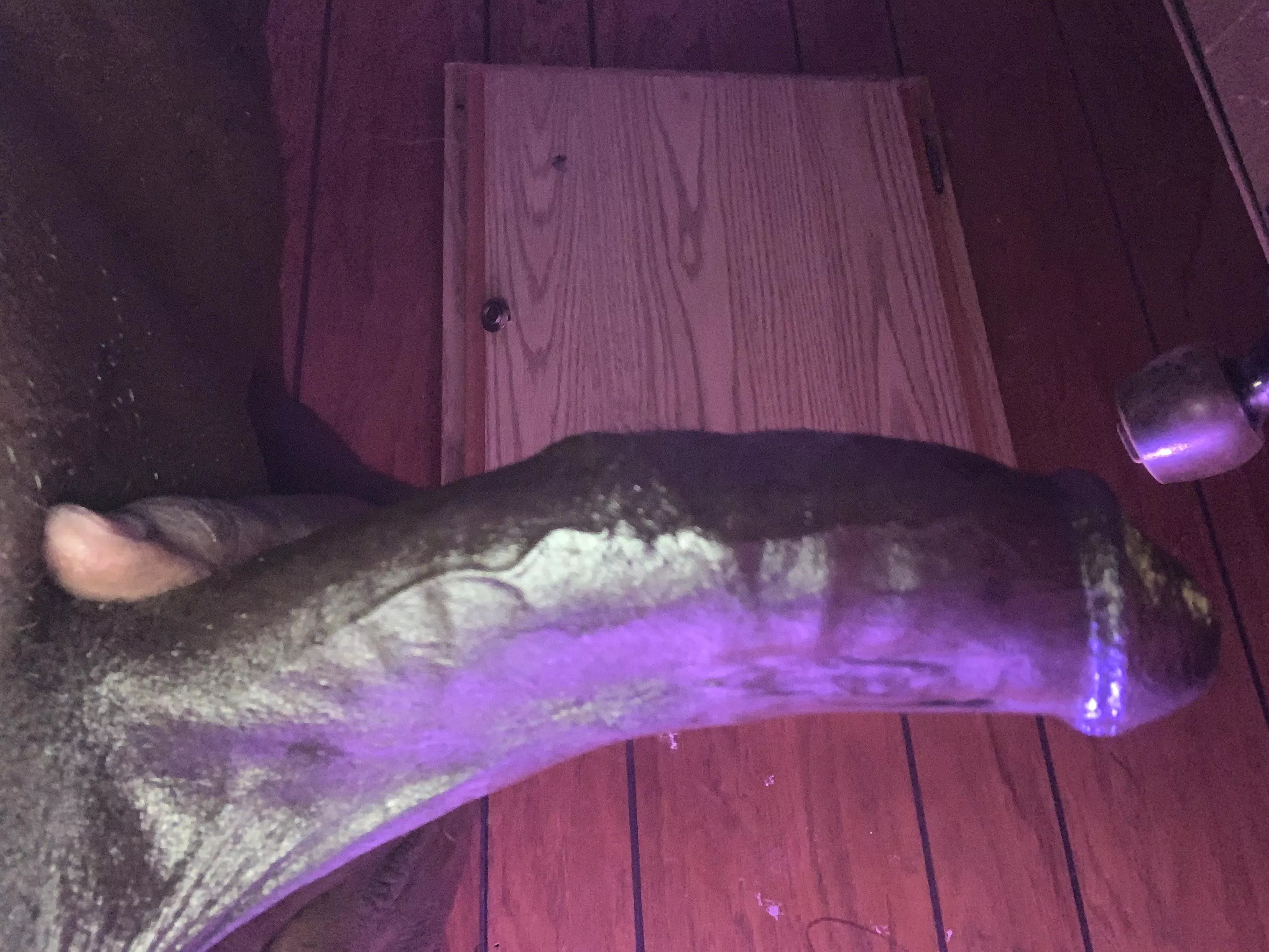 Rate