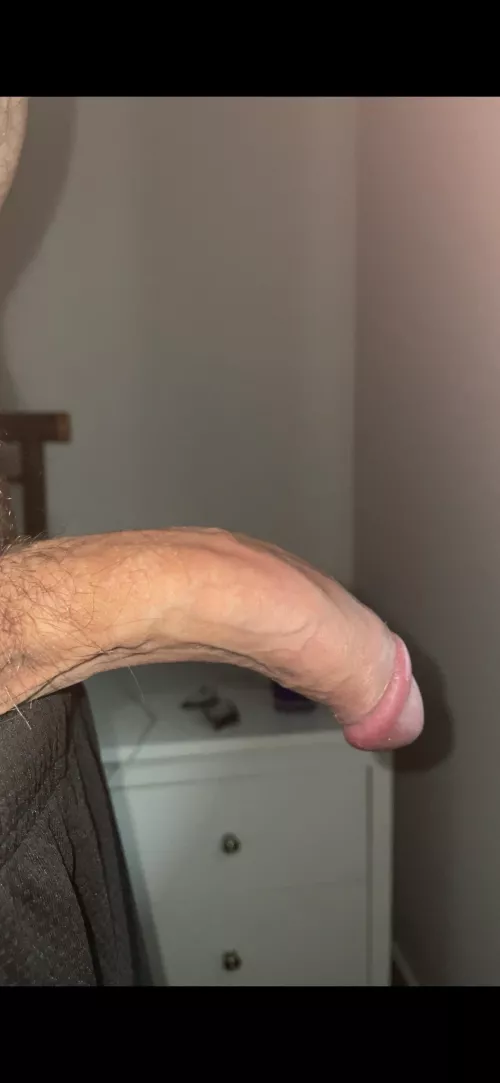 Rate this big veiny cock